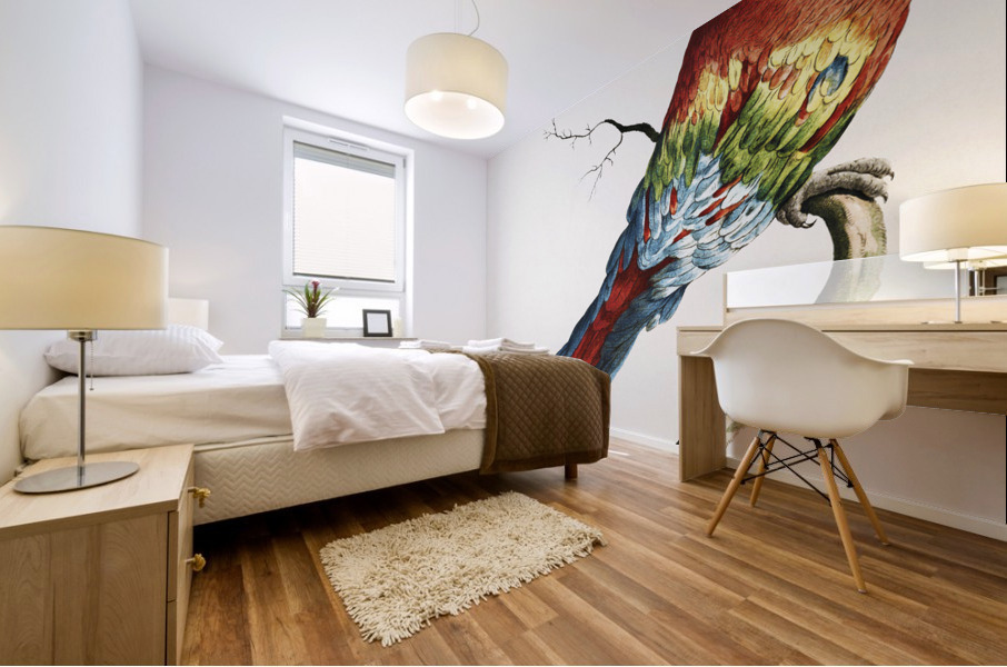 Pappagallo detto arara rossa del Brasile Macaw Mural print