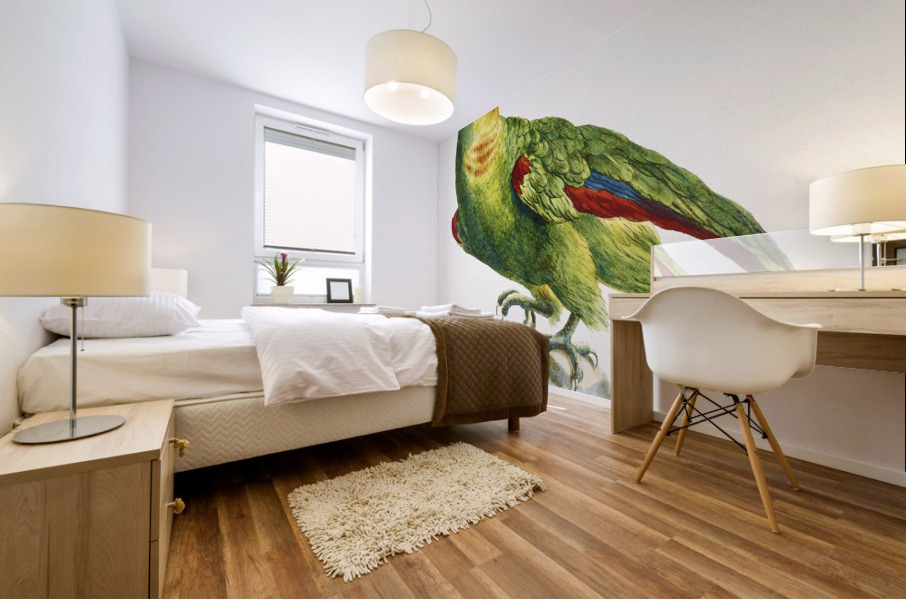 Pappagallo verde del Brasile col capo giallo e fronte celeste Parrot Mural print