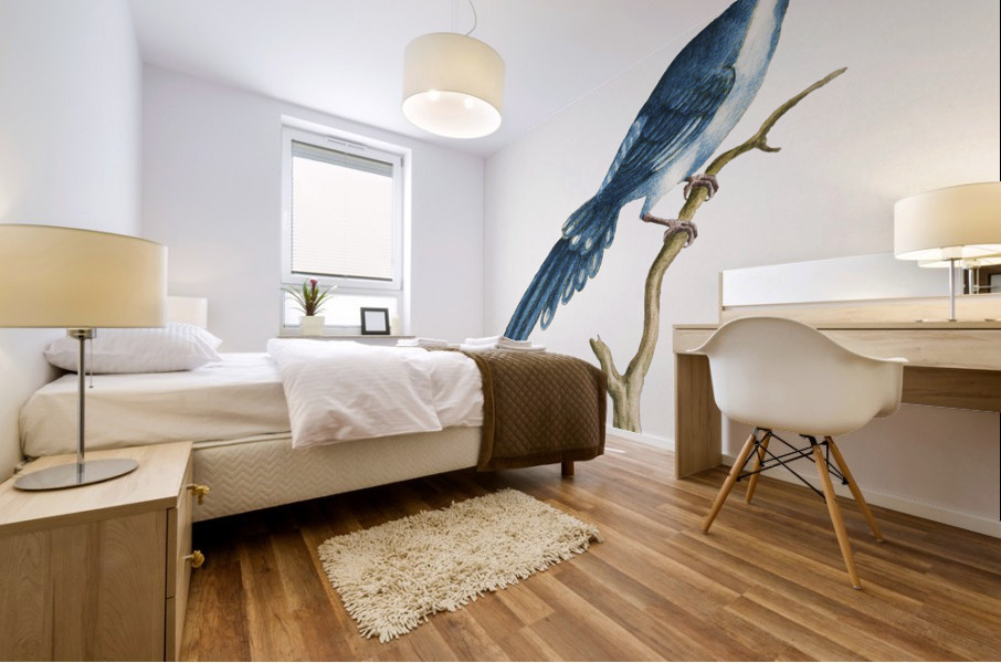 Cucule celeste della China Cuckoo Impression murale