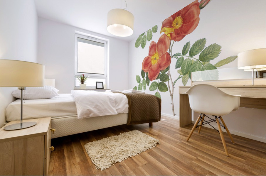 Vintage Austrian Briar rose Mural print