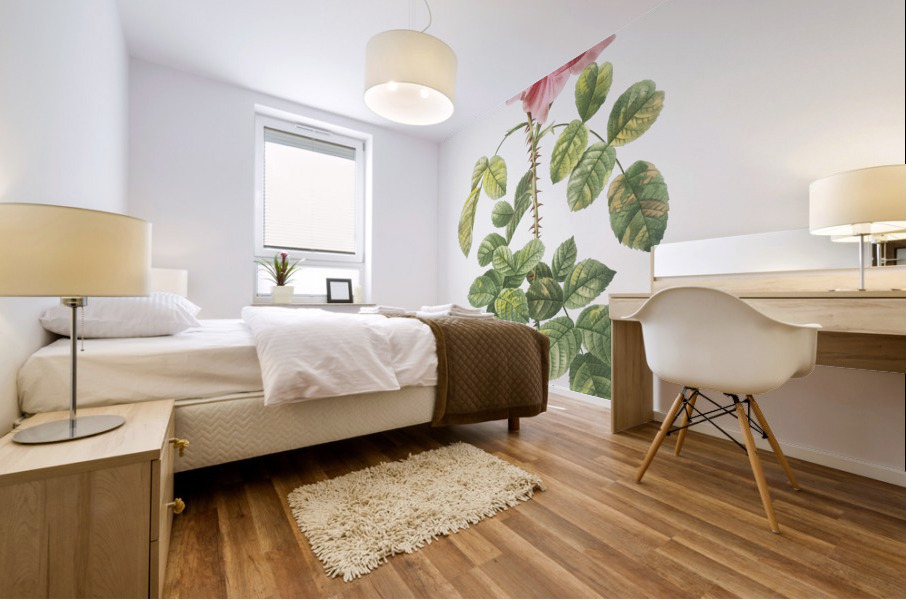 Four seasons rose in bloom Mural print