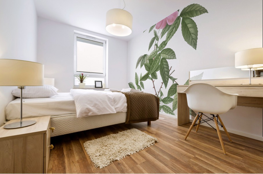 Pink boursault rose Mural print