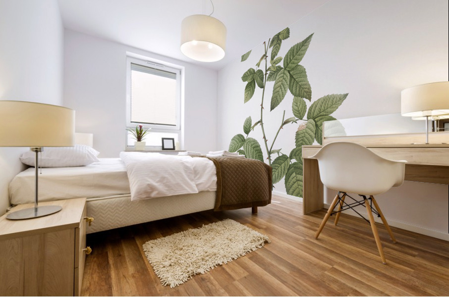 Redleaf rose in bloom Mural print