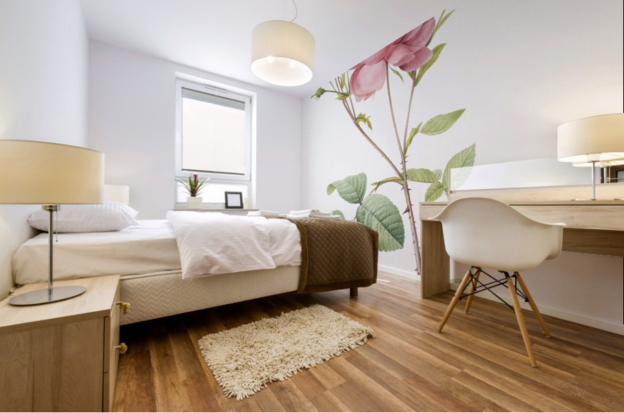 Pink agatha rose Mural print