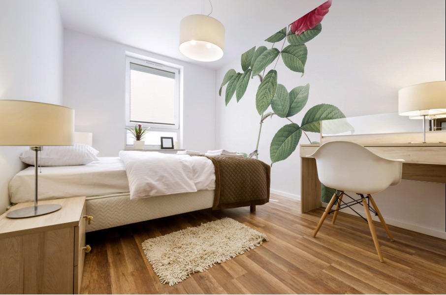 Seven sisters rose in bloom Mural print