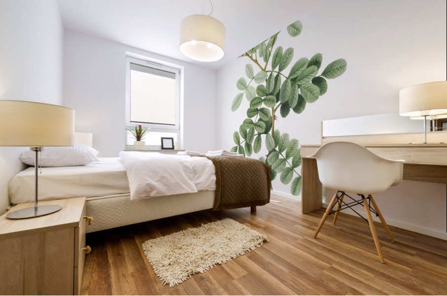 Macartney Rose Mural print