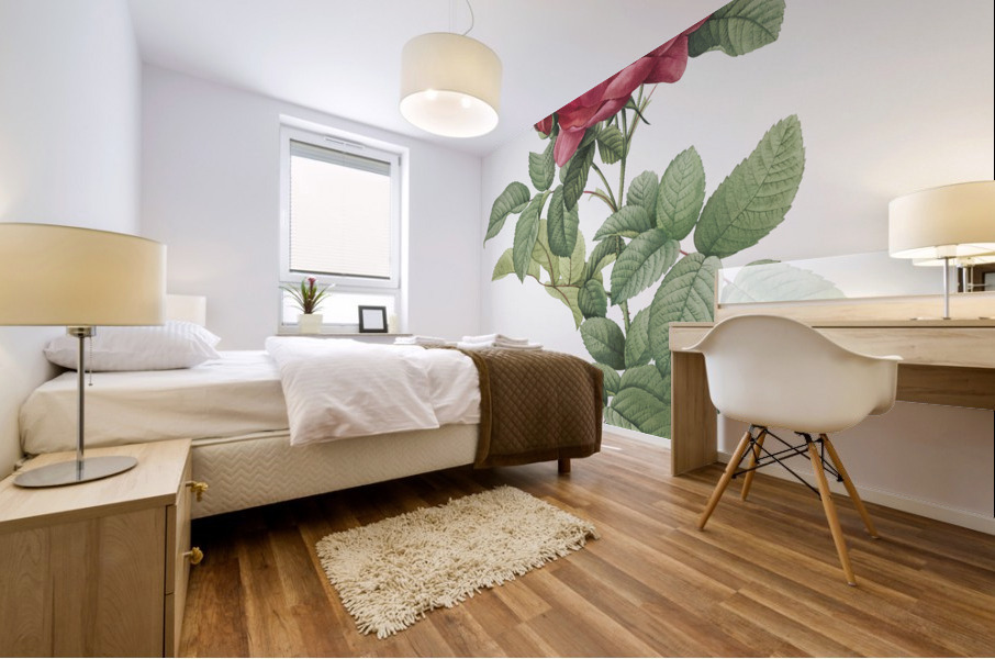 Red gallic rose Mural print