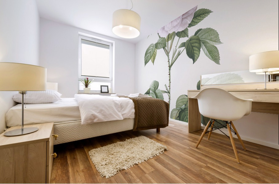 Vintage rosa alba Mural print