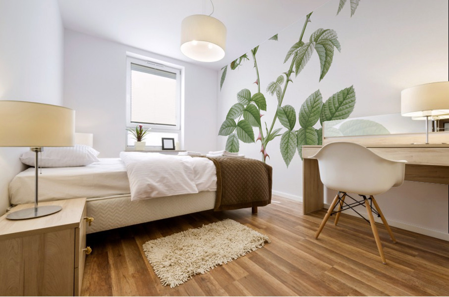 White flowered rose Mural print