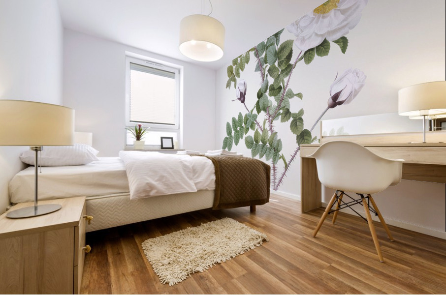 White flowered rose Mural print