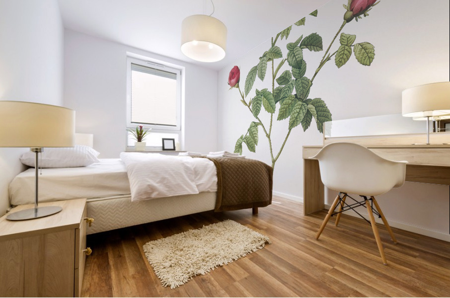 Agatha rose in bloom Mural print