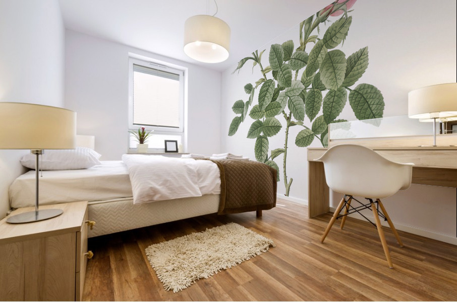 Small damask rose Mural print