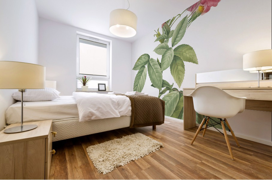 Vintage rosa gallica rose Mural print