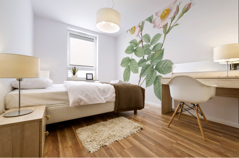 Beautiful field rose Mural print