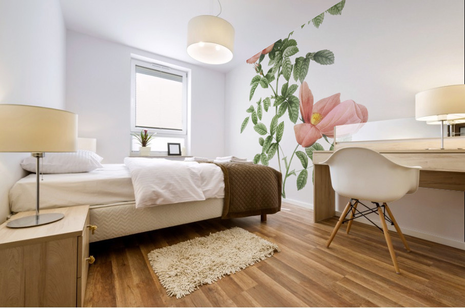 Pink provins rose Mural print