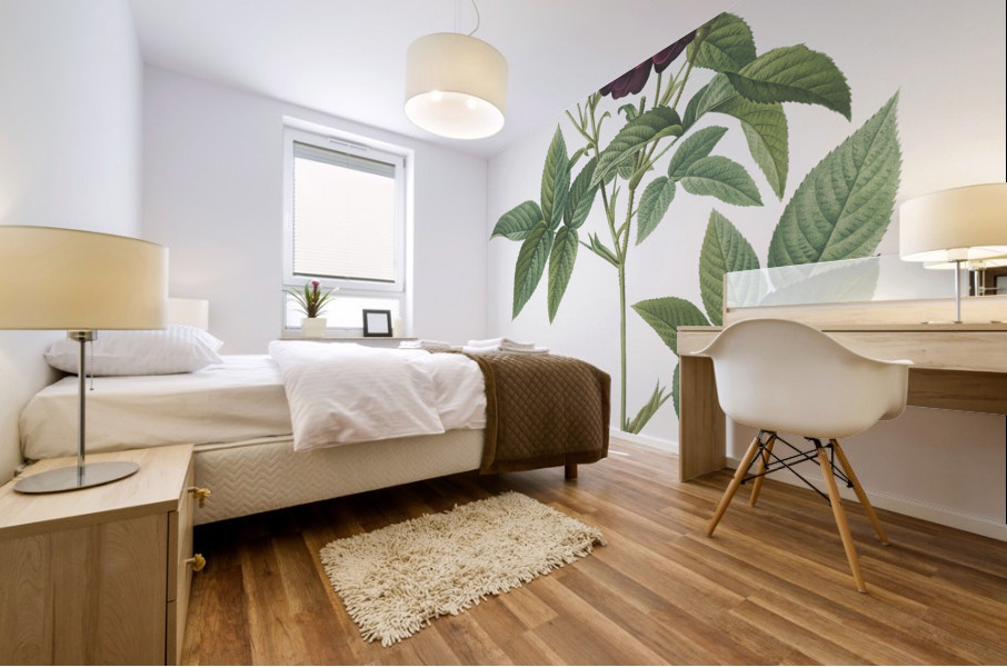 Van eeden rose Mural print