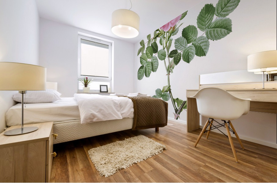 Pink sweet briar rose Impression murale