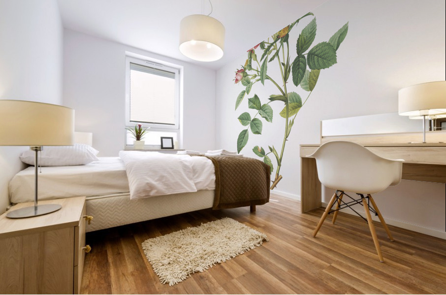 Blooming pink roses Mural print