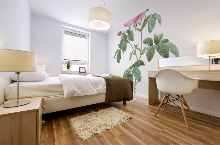 Provence rose in bloom Mural print