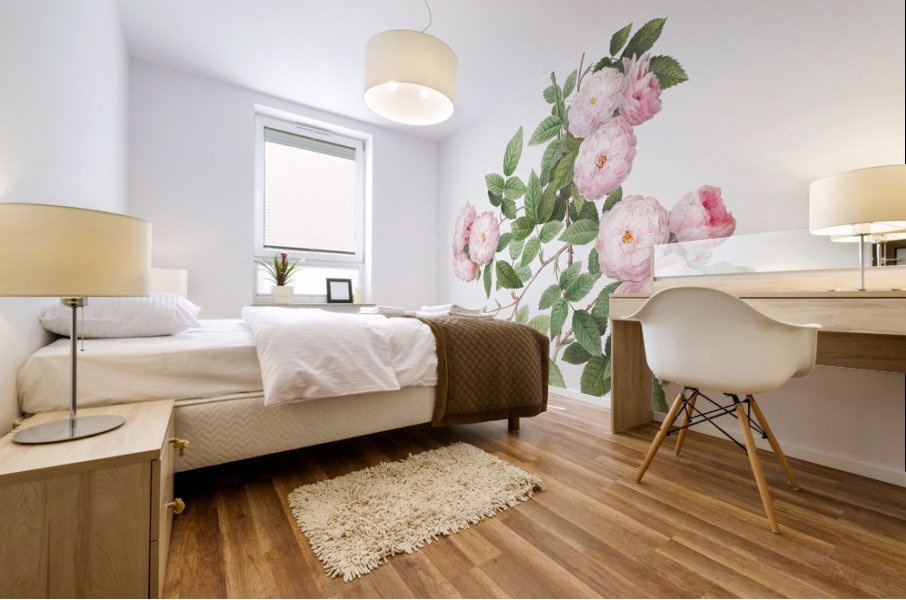 Pink baby roses Mural print