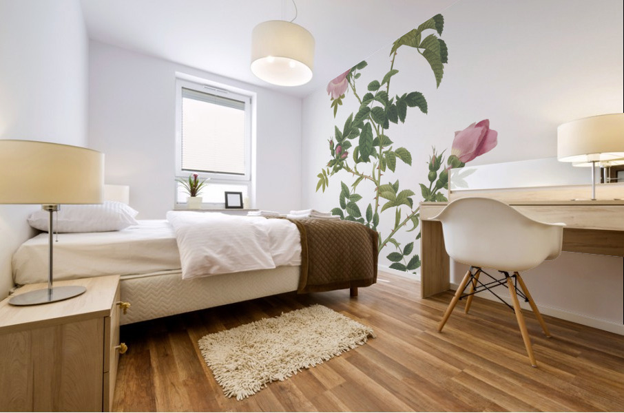 Pink french roses Mural print