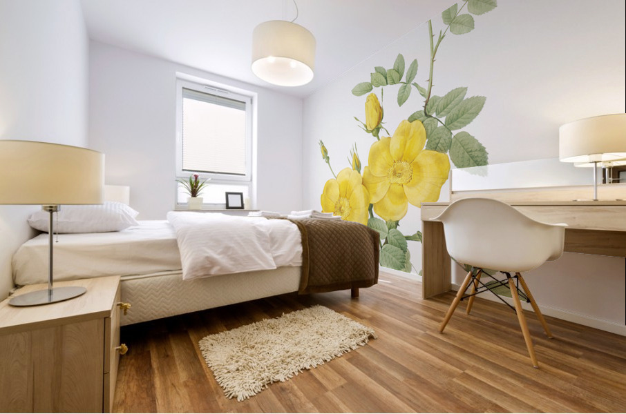 Yellow sweetbriar roses Mural print