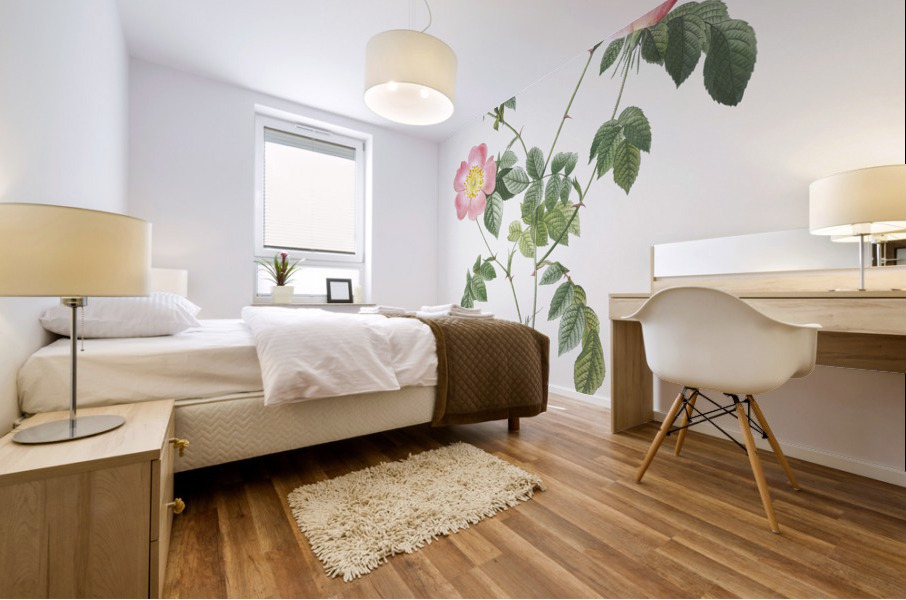 Pink Austrian copper rose Impression murale