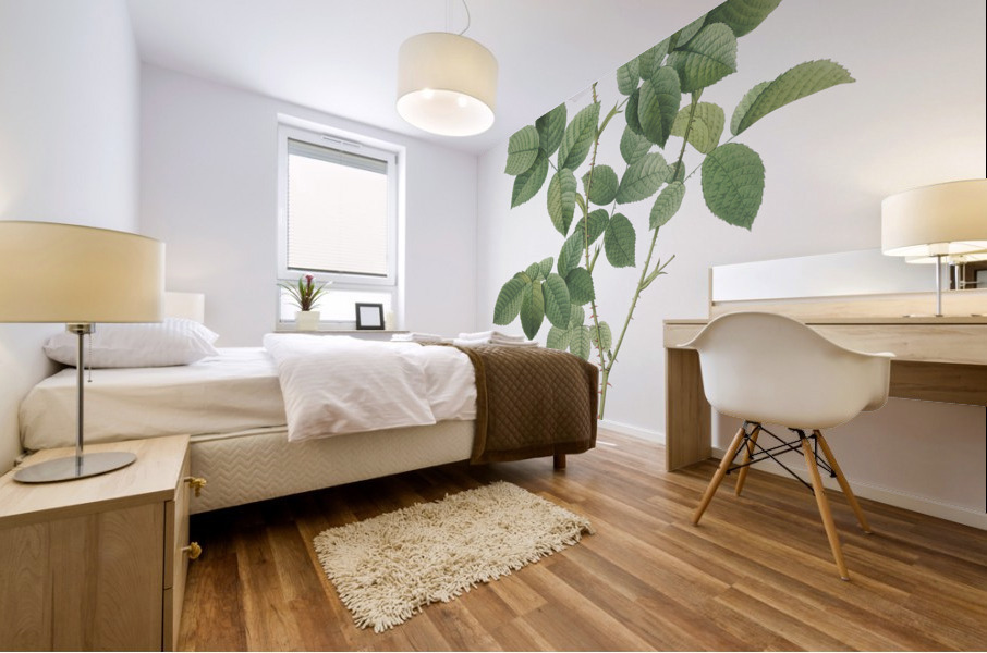 Blooming white roses Mural print