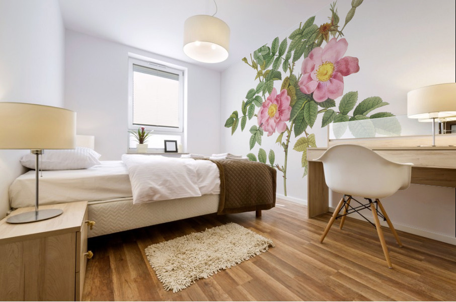 Burgundy cabbage rose in bloom Mural print