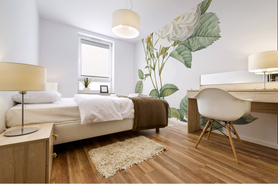 White rose of york Mural print