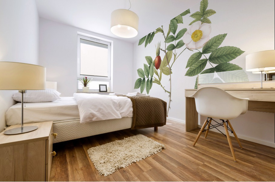 Mountain rose in bloom Mural print