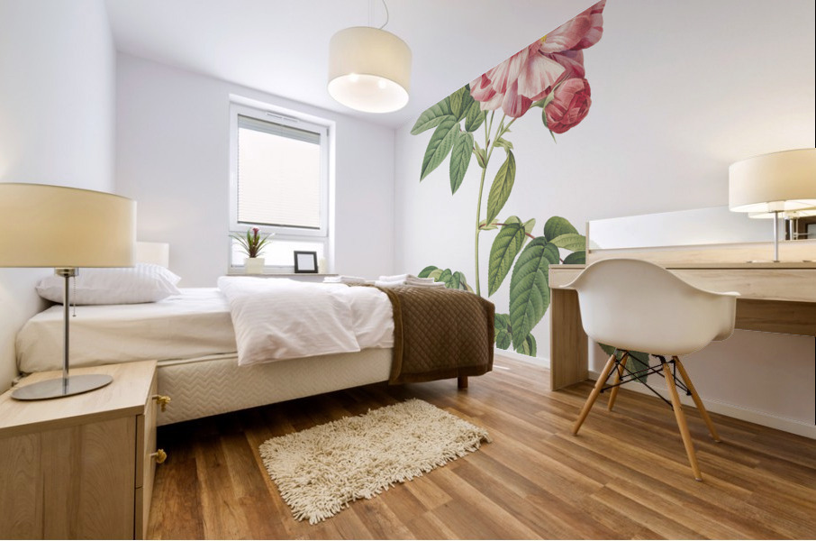 Pink french rosebush Mural print