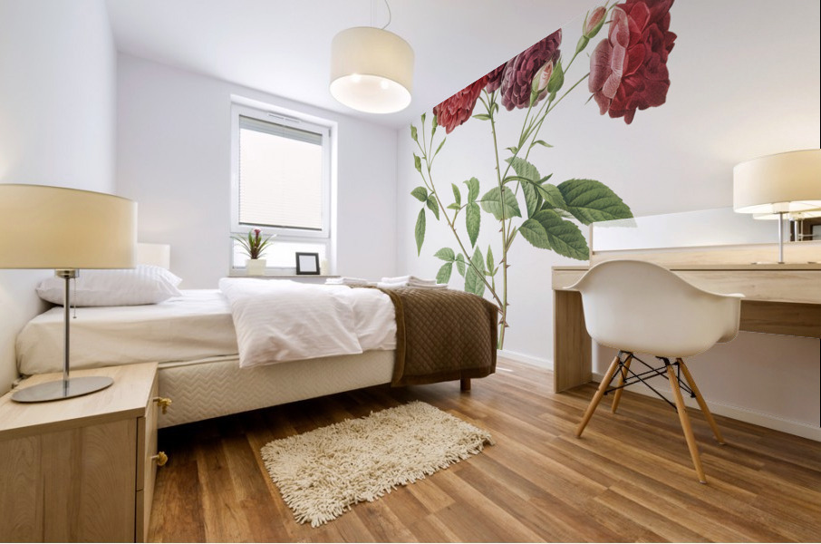 Ternaux rose in bloom Impression murale