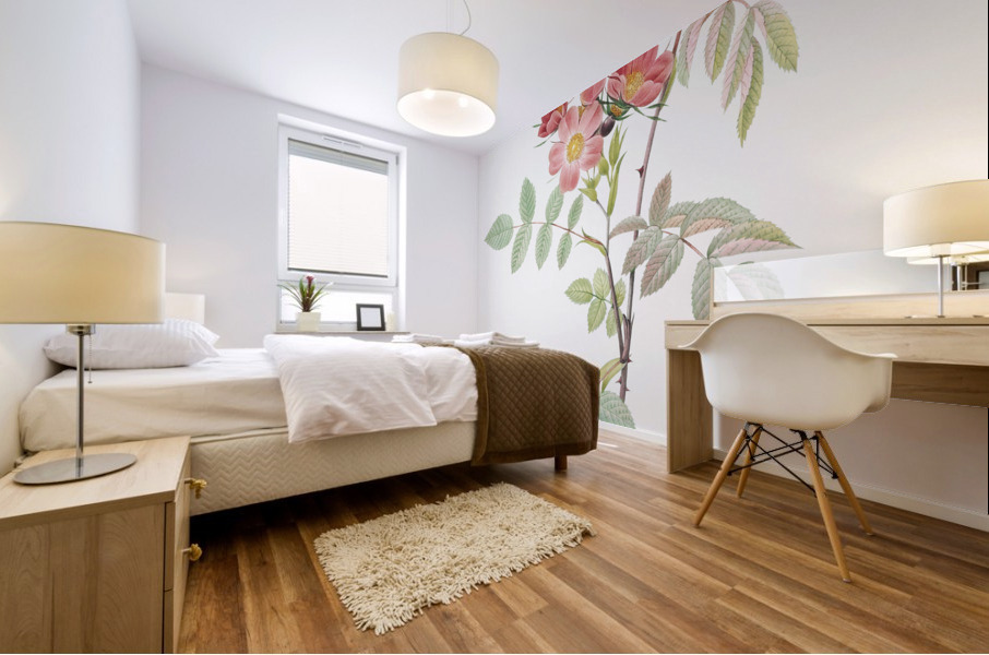 Vintage Rosa glauca rose Mural print