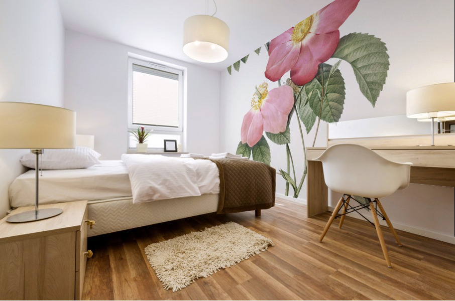 Pink french rose Mural print