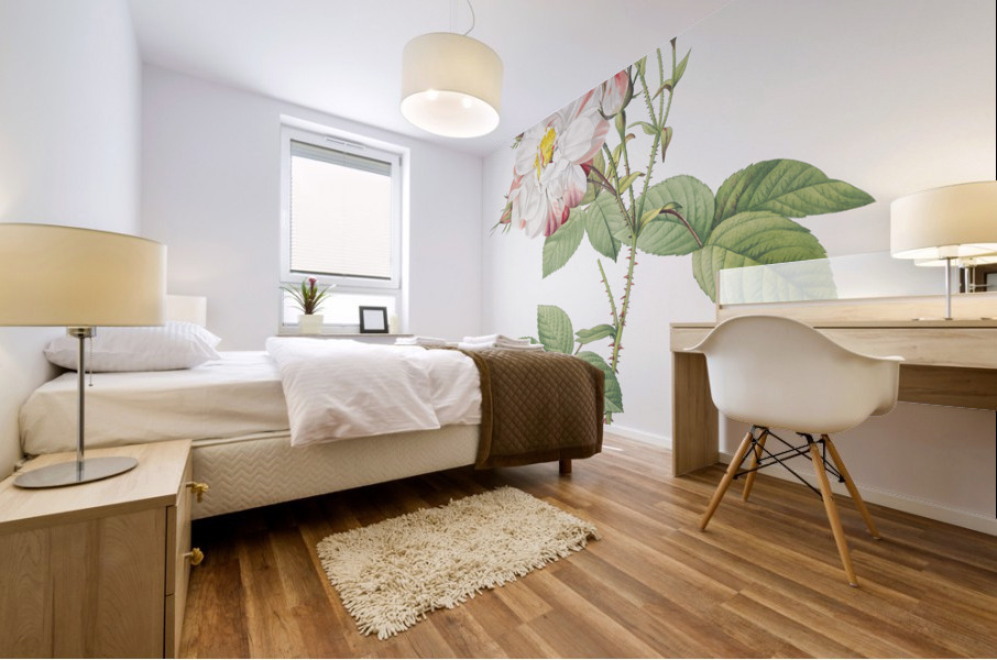 White damask rose Mural print