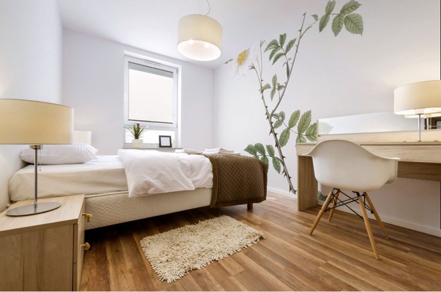 White field roses Mural print