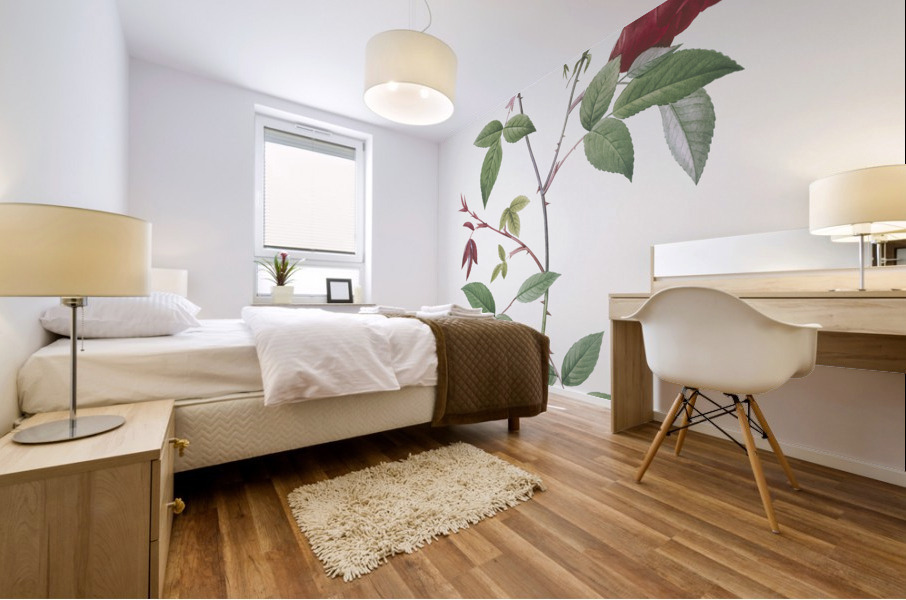 Velvet china rose in bloom Mural print