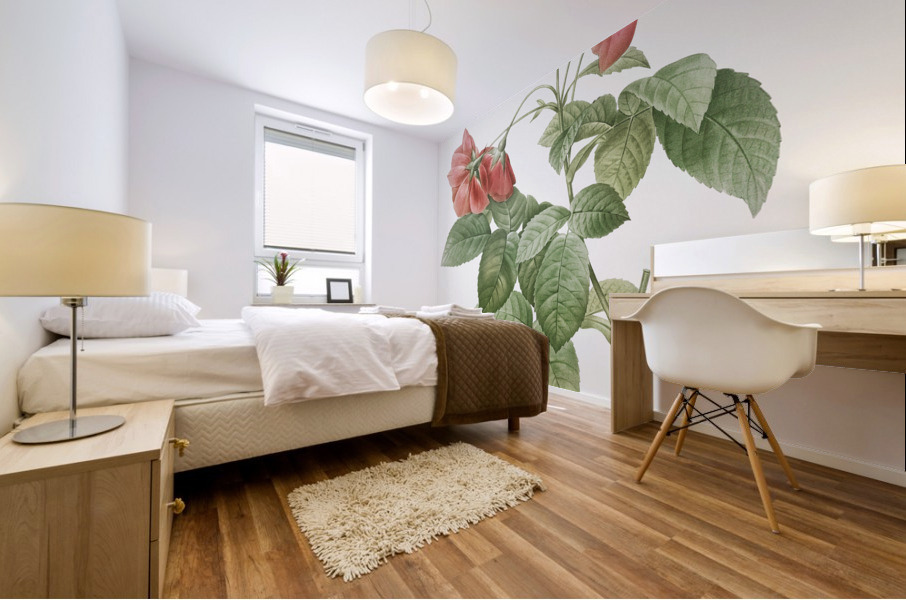 Pink boursault rose Impression murale