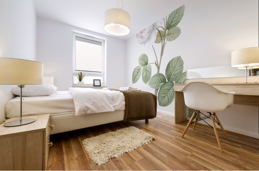 White misty rose Mural print