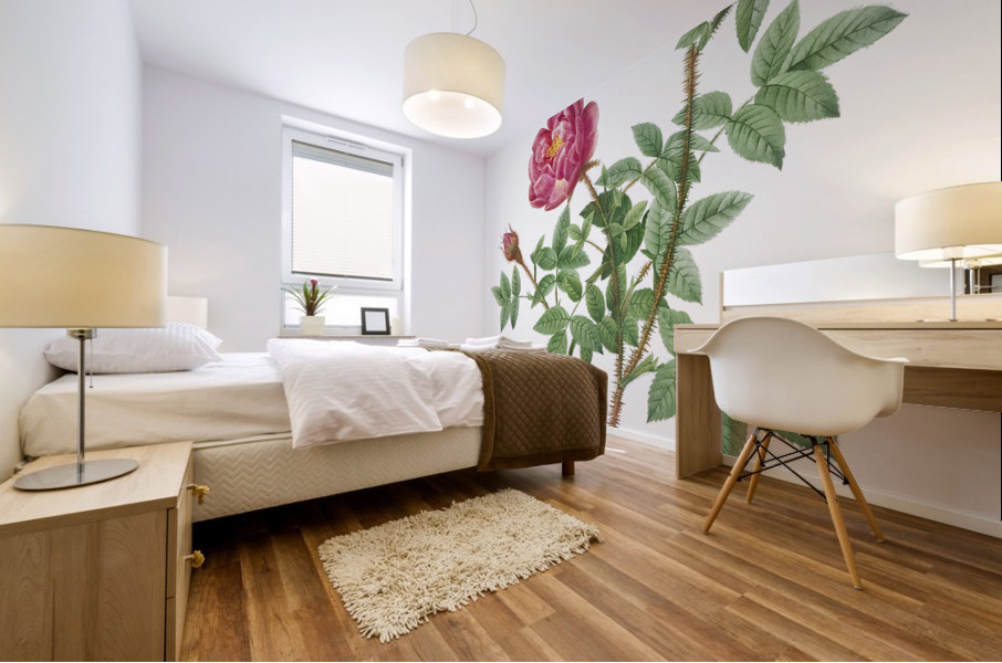 Anemone flowered rose Mural print