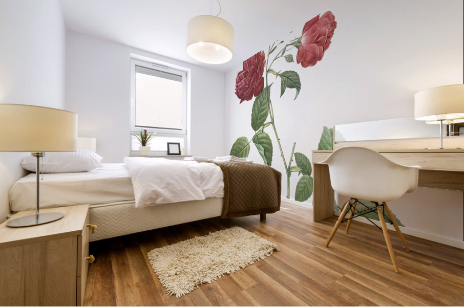 Anemone flowered rose Mural print