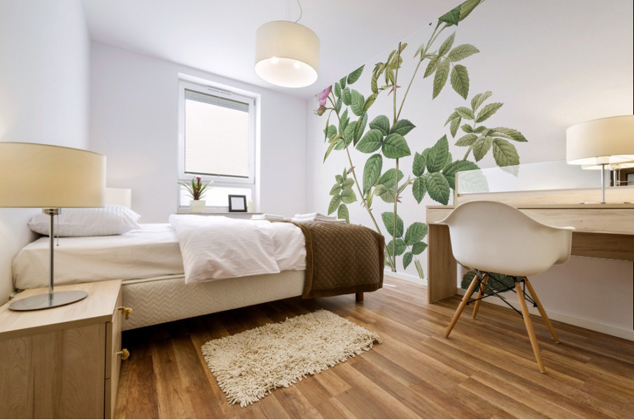 Pink flowering rosebush Mural print