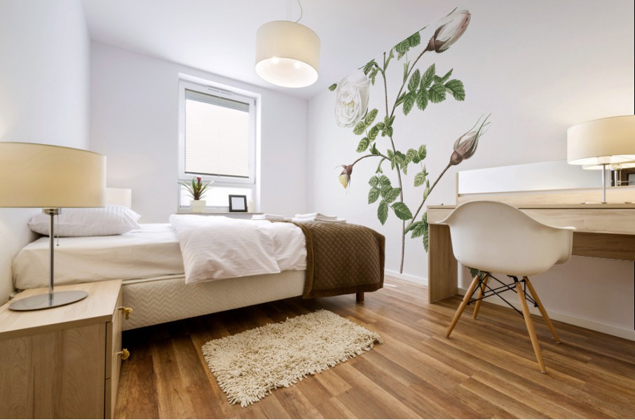 Hispid rose in bloom Mural print