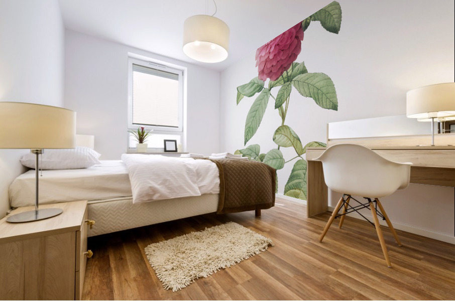 Agatha rose in bloom Mural print