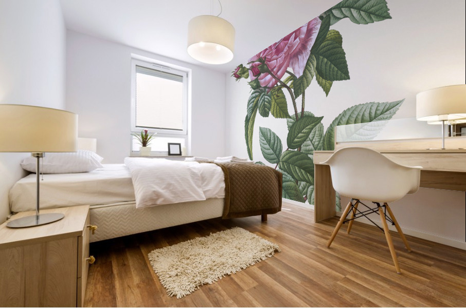 Vintage cabbage rose poster Mural print