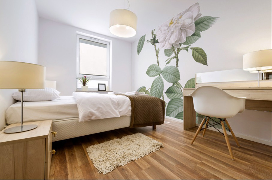 Blooming autumn damask rose Mural print