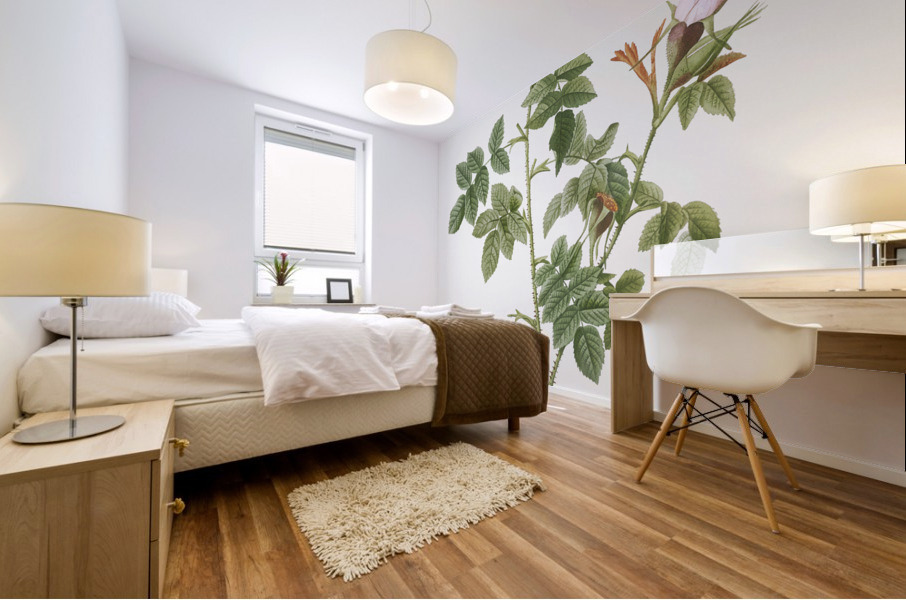 Blooming pink rosebush Impression murale