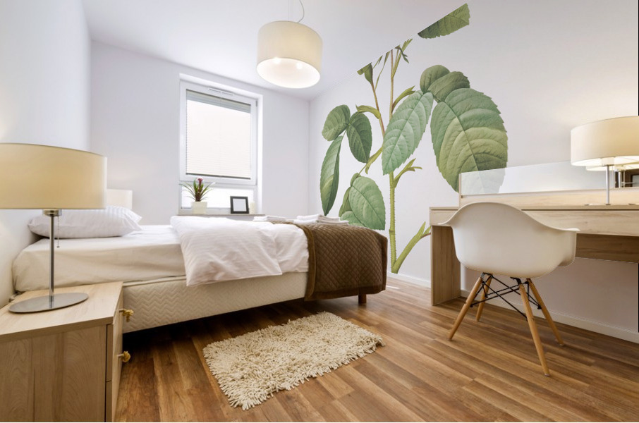 Red gallic rose Mural print