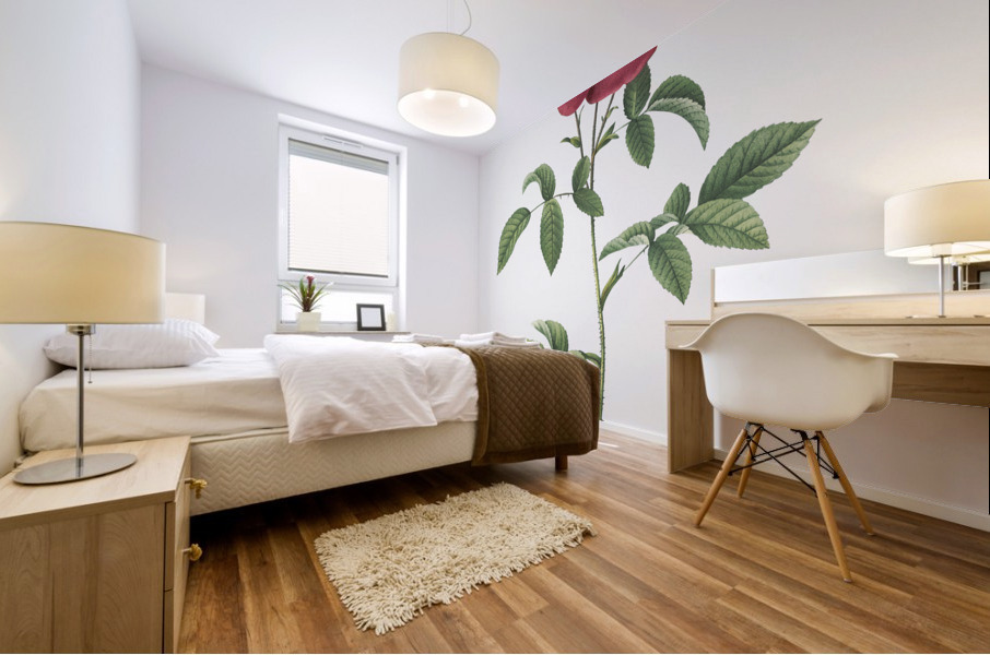 Stapelia rose in bloom Mural print